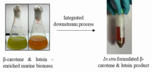 An integrated downstream process